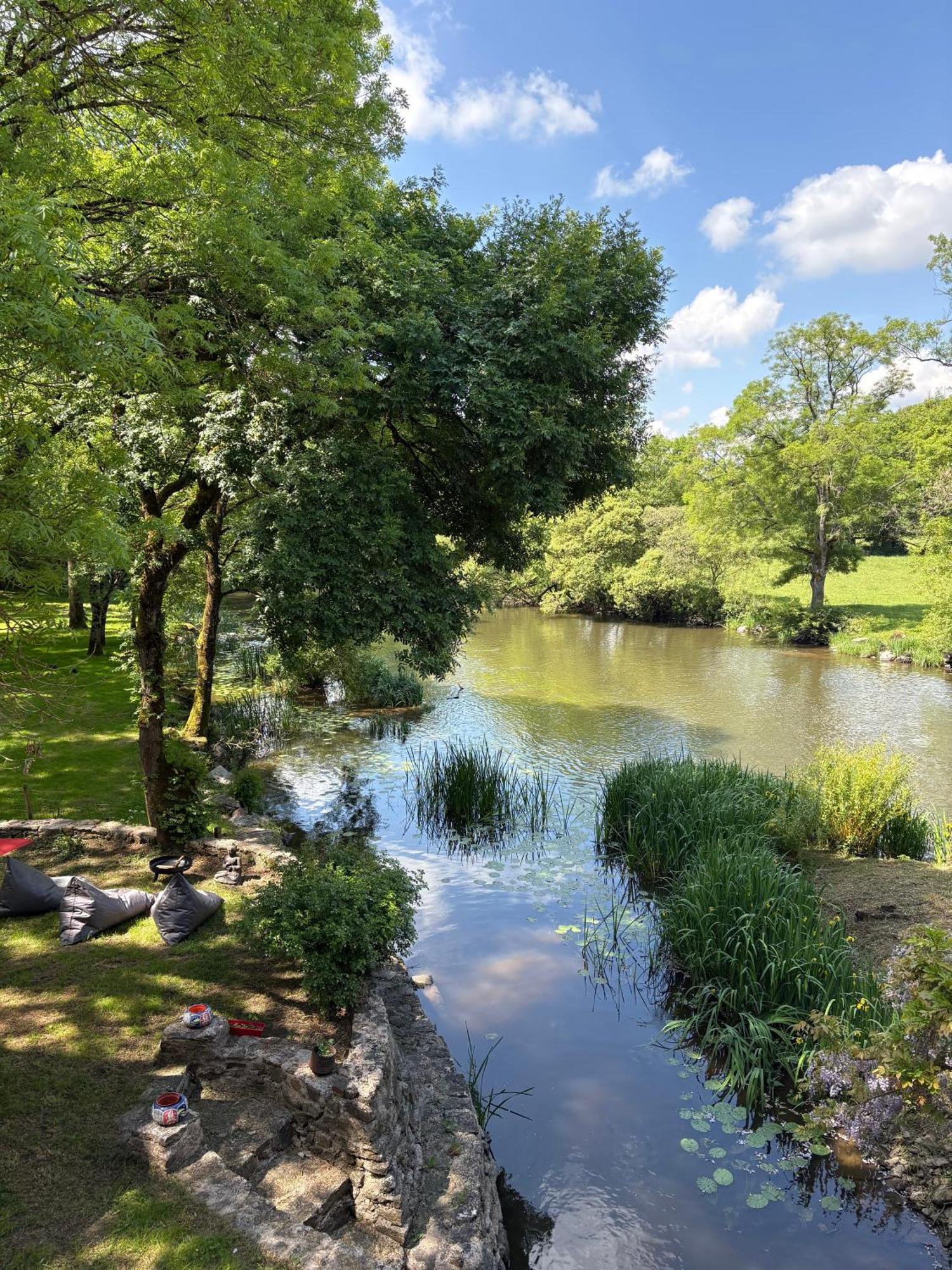 Le Moulin Du Guy, Proche Du Puy Dufou Bed and Breakfast Chanverrie Eksteriør billede